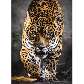 Clementoni Puzzle Jaguar, 1000 Teile