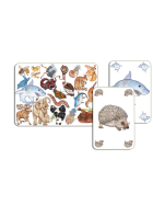 Djeco Kartenspiel Zanimatch