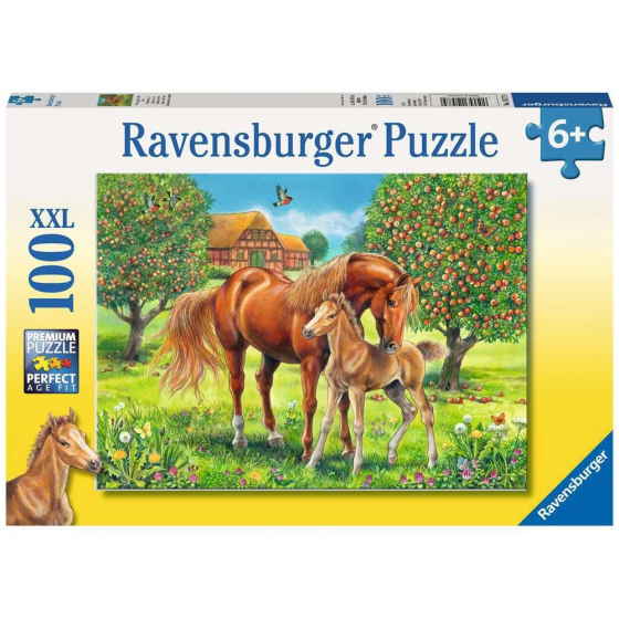 Ravensburger Pferdeglück auf der Wiese