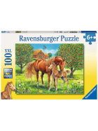 Ravensburger Pferdeglück auf der Wiese