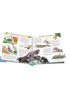Ravensburger Wieso? Weshalb? Warum?, Band 63: Alles &uuml;ber Reptilien