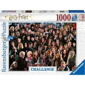 Ravensburger Challenge Harry Potter