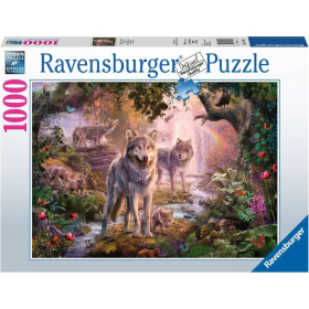 Ravensburger Wolfsfamilie im Sommer