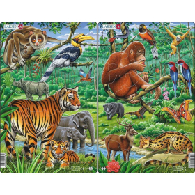 Larsen Puzzle Dschungel (Indien und Südostasien), 30...