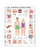 Larsen Puzzle Unser Körper, 35 Teile
