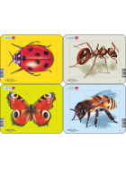 Larsen Puzzle Insekten Marienkäfer, Ameise, Schmetterling, Vasps, 5 Teile