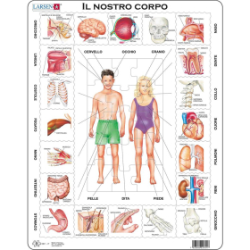 Larsen Puzzle Italiano Il nostro corpo, 35 Teile