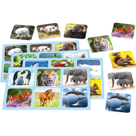 Schmidt Spiele Zoo Lotto (Metalldose)