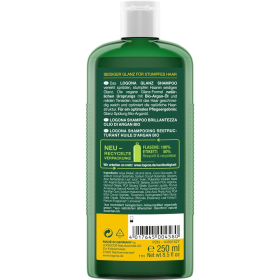 Logona Shampoo Argan Glanz, 250 ml