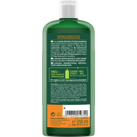 Logona Shampoo Sanddorn Repair&Pflege, 250 ml