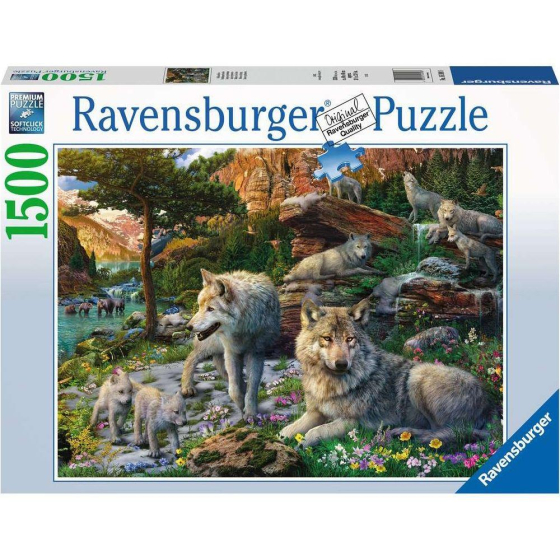 Ravensburger Wolfsrudel im Frühlingserwachen