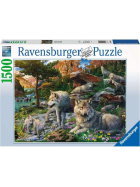 Ravensburger Wolfsrudel im Frühlingserwachen