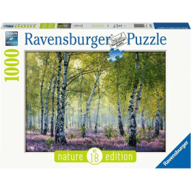 Ravensburger Birkenwald