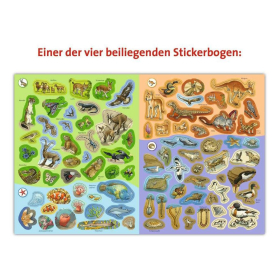 Ravensburger Wieso? Weshalb? Warum? Stickerheft: Tiere der Welt