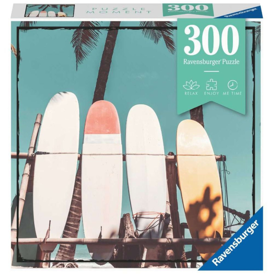 Ravensburger Surfing