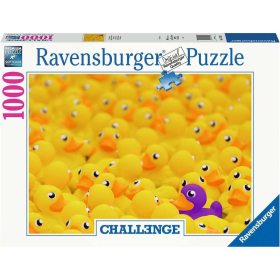 Ravensburger Quietscheenten