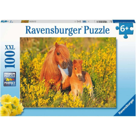 Ravensburger Shetlandponys