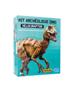 4m Dino Ausgrabungsset - Velociraptor