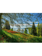 Puzzle Frühlingsallee zur Tulpenblüte, Insel Mainau, 1000 Teile