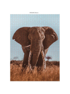 Ambassador Afrikanischer Elefant 1000 Teile (Donal Boyd)