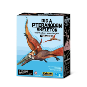 4m Dino Ausgrabungsset - Pteranodon