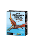 4m Dino Ausgrabungsset - Pteranodon