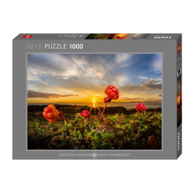 Heye Puzzle Cloudbeeries Standard 1000 Teile