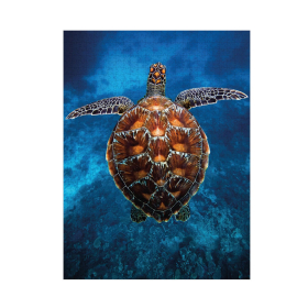 Ambassador Meeresschildkr&ouml;te 1000 Teile