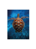 Ambassador Meeresschildkr&ouml;te 1000 Teile