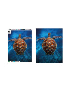 Ambassador Meeresschildkr&ouml;te 1000 Teile