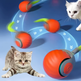 Speedy Katzenspielzeug Ball Akku, orange