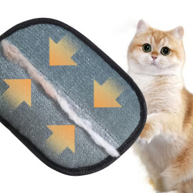 Tierhaar-Entfernen Handschuh